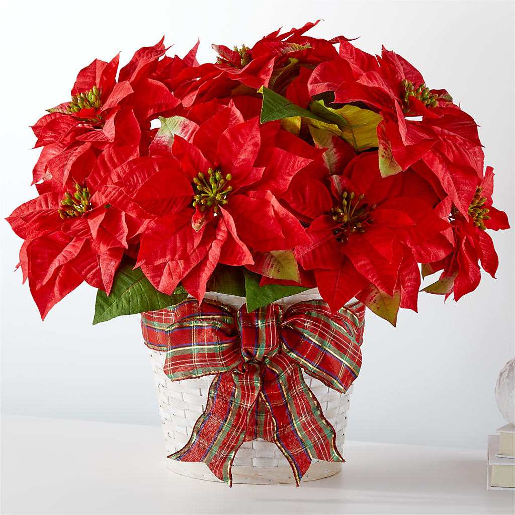 Happiest Holidays Poinsettia – Blossom Shop, Conroe TX