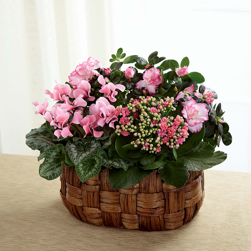 Pink Assortment – Blossom Shop, Conroe TX