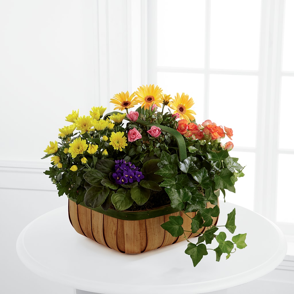 Gentle Blossoms Basket – Blossom Shop, Conroe TX