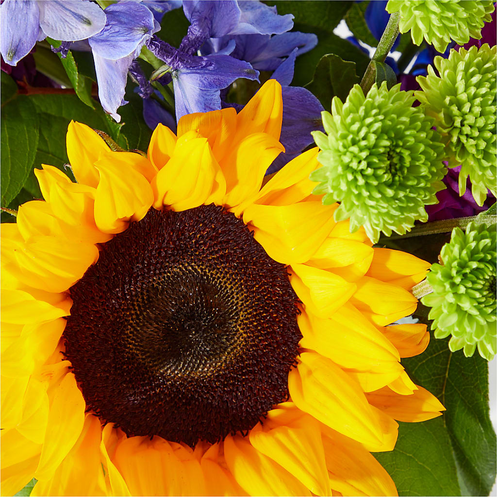 Catching Rays Bouquet – Blossom Shop, Conroe TX