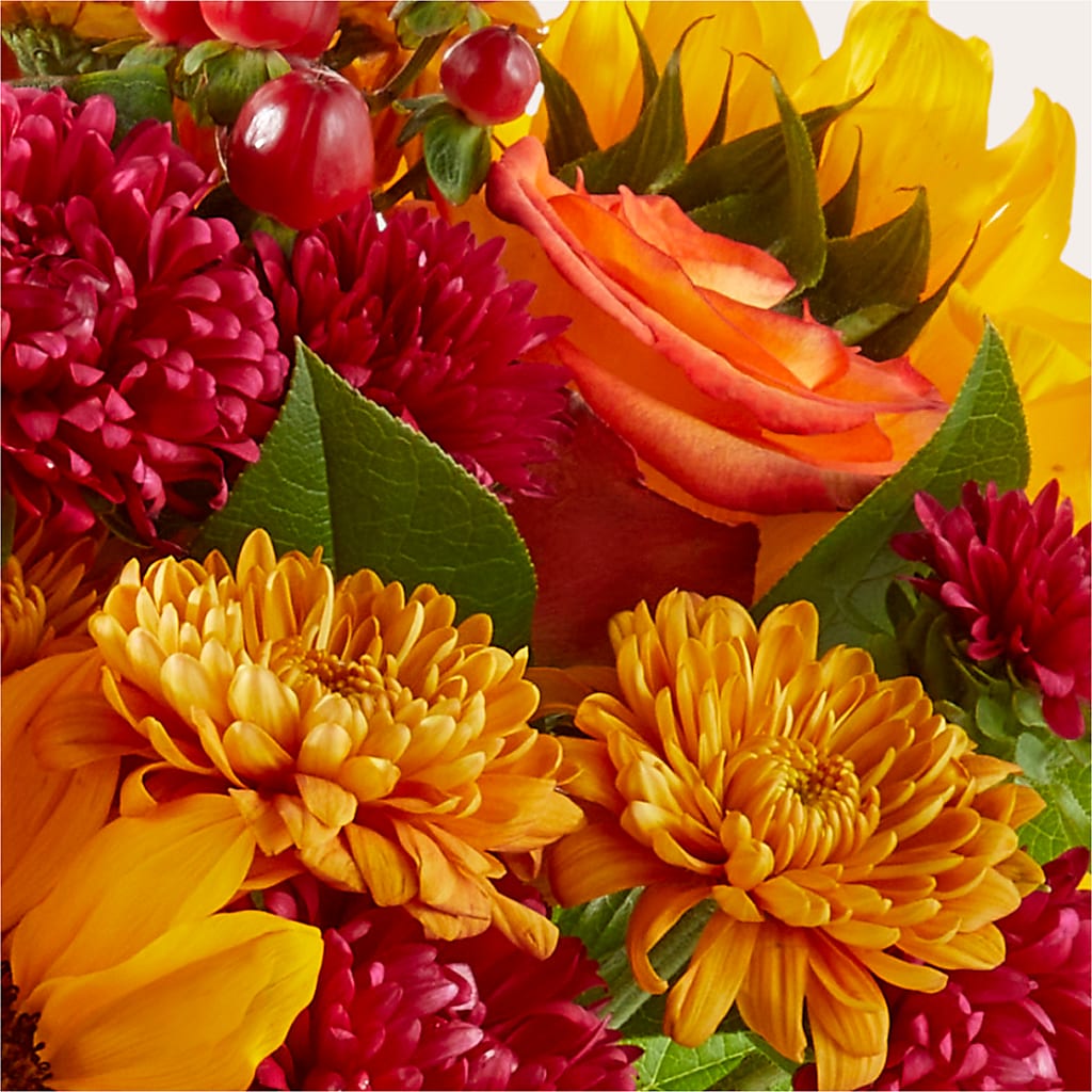Sweater Season - A Florist Original – Blossom Shop, Conroe TX