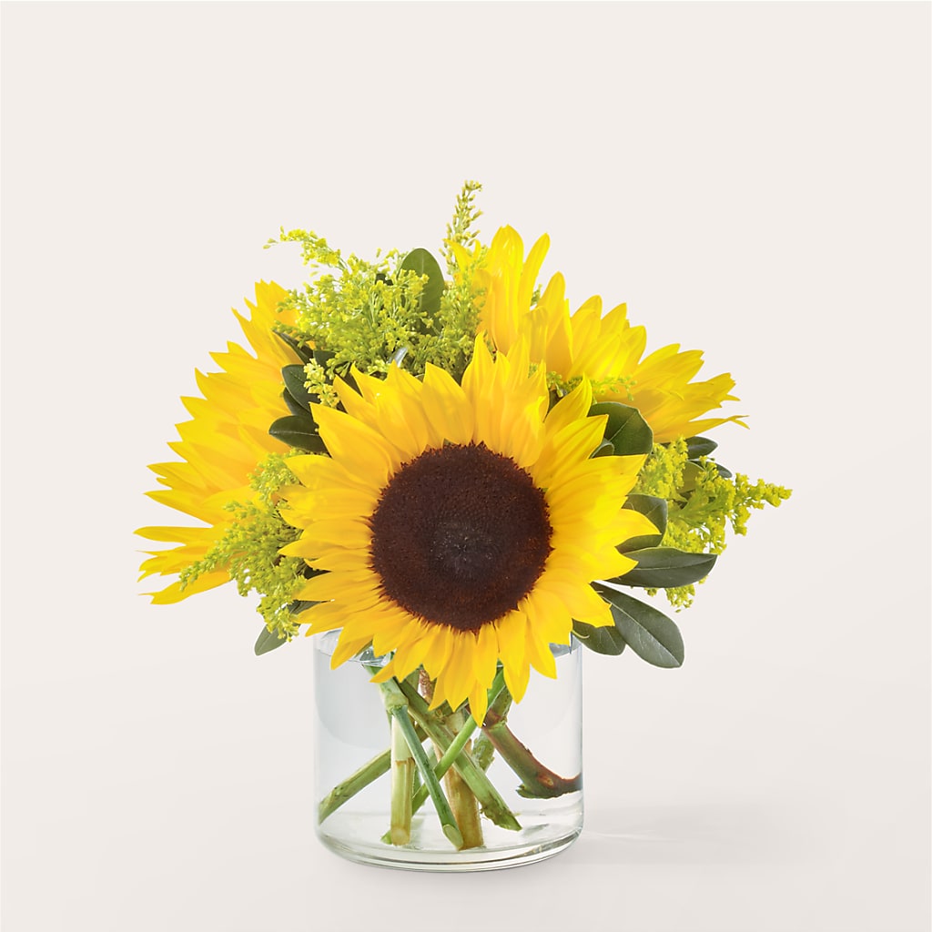 Beaming Sunflower Bouquet – Blossom Shop, Conroe TX