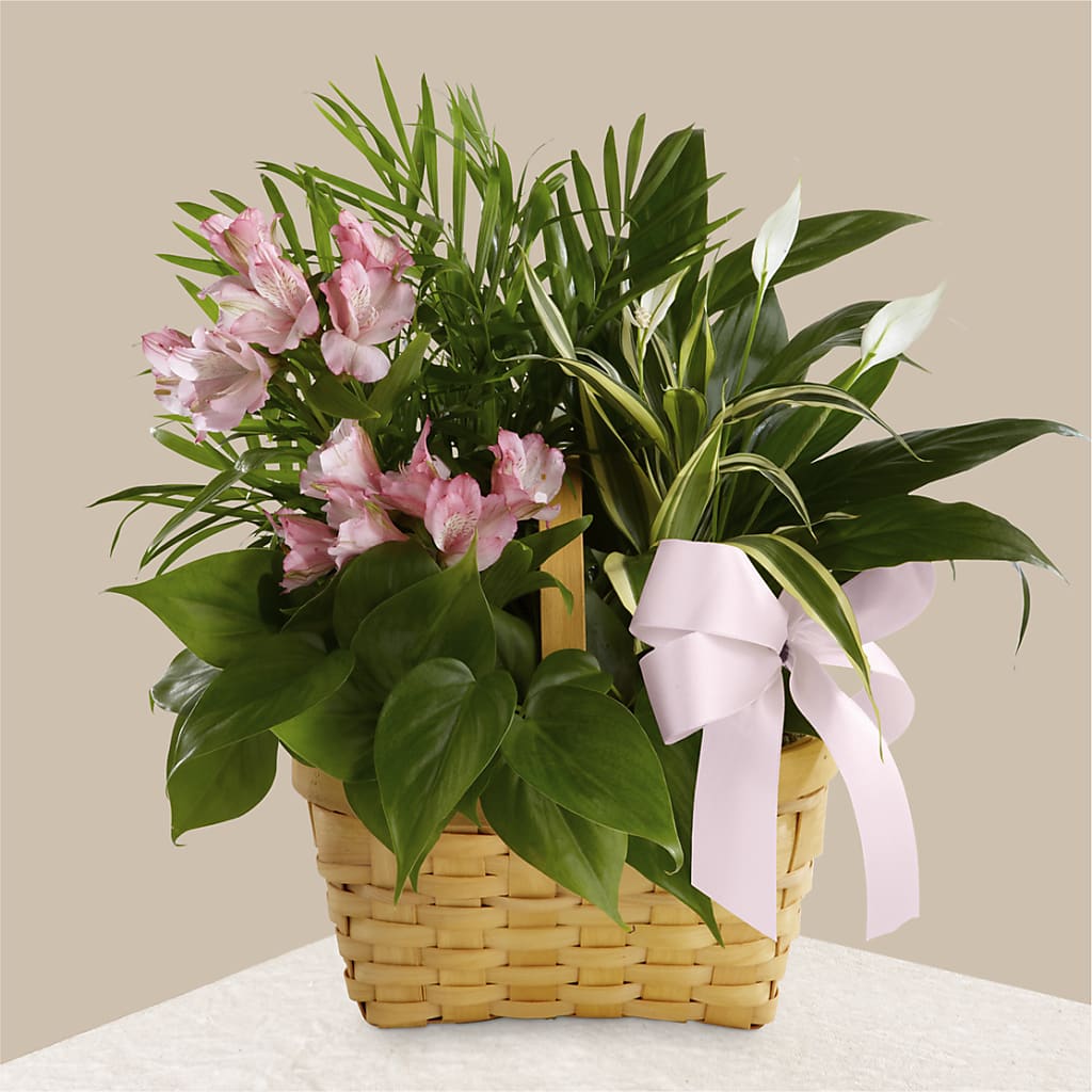 Living Spirit Dishgarden – Blossom Shop, Conroe TX