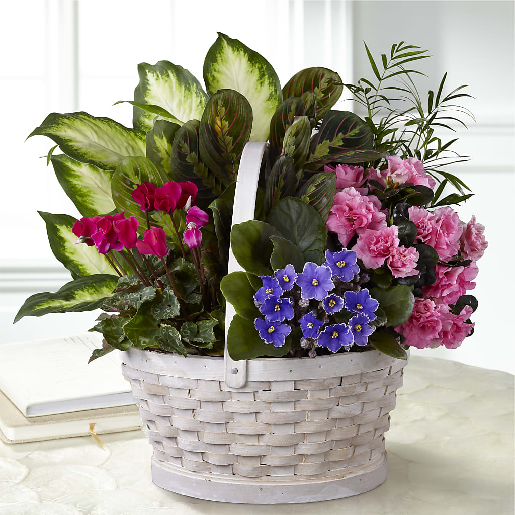 Peaceful Garden Planter – Blossom Shop, Conroe TX