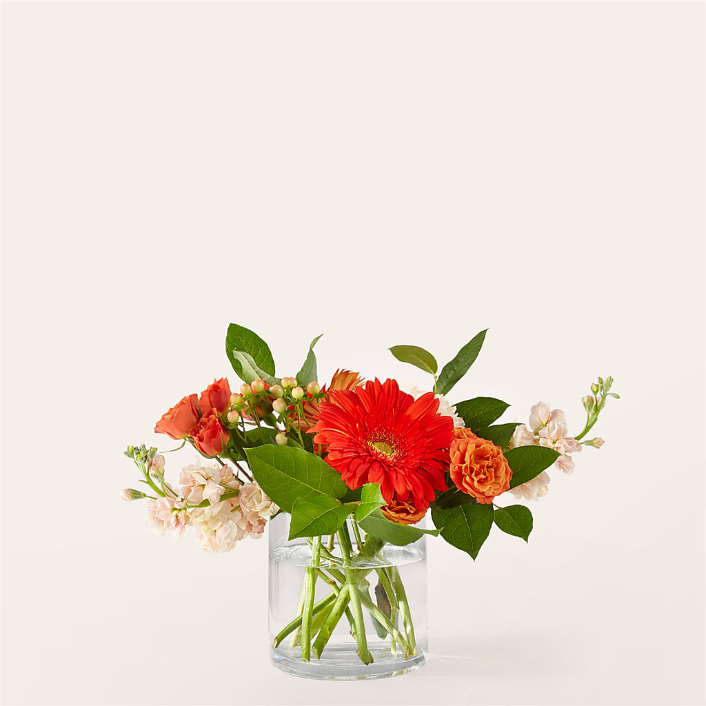 Paloma Please Bouquet – Blossom Shop, Conroe TX