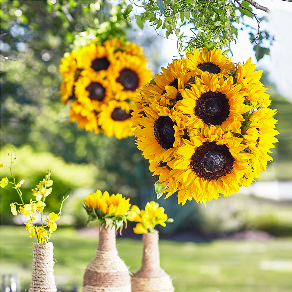 Sublime Garden Hanging Arrangement – Blossom Shop, Conroe TX