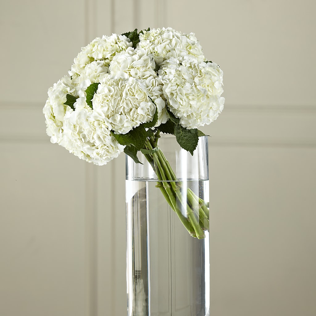 White Hydrangea Hand-Tied Bouquet – Blossom Shop, Conroe TX