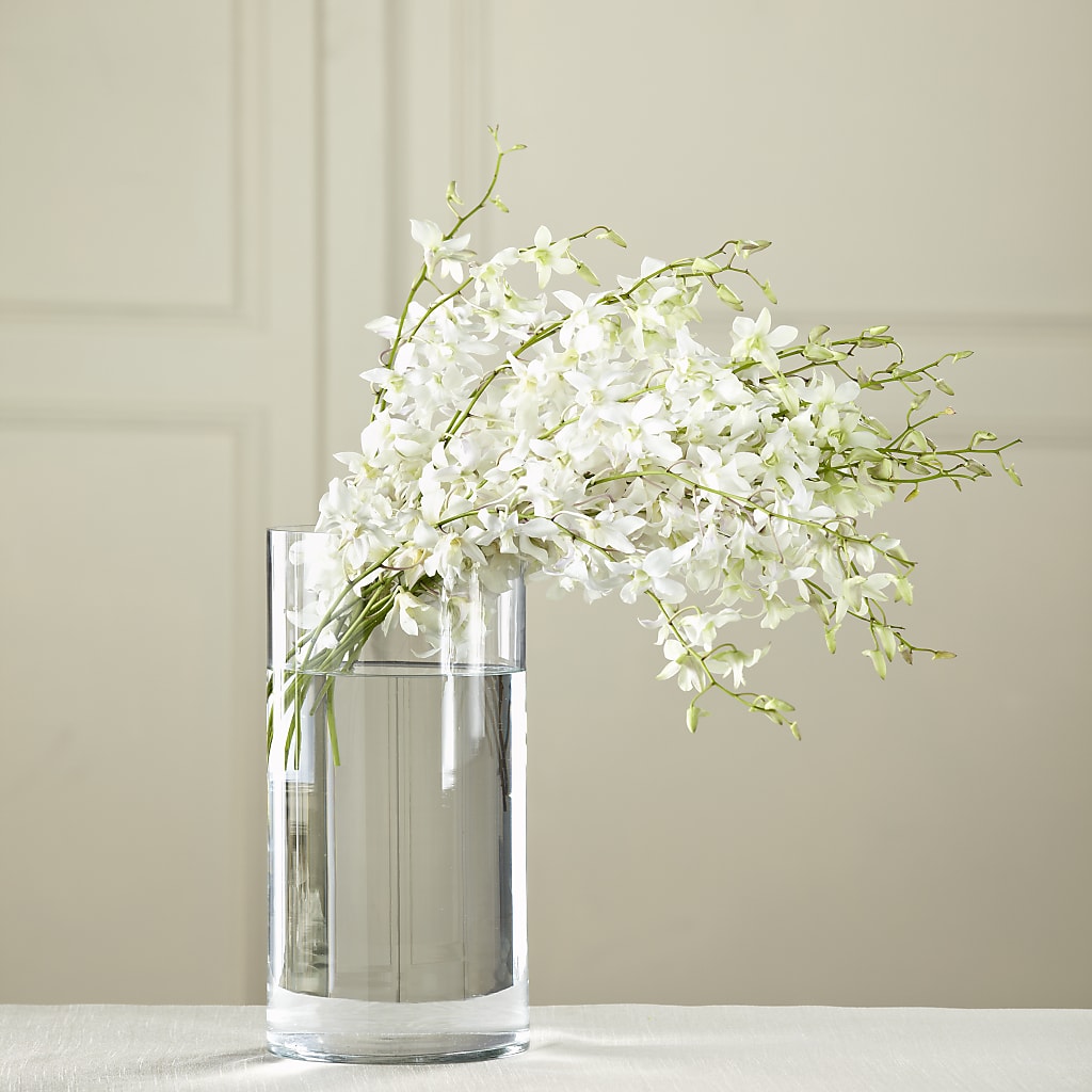 White Dendrobium Bouquet – Blossom Shop, Conroe TX