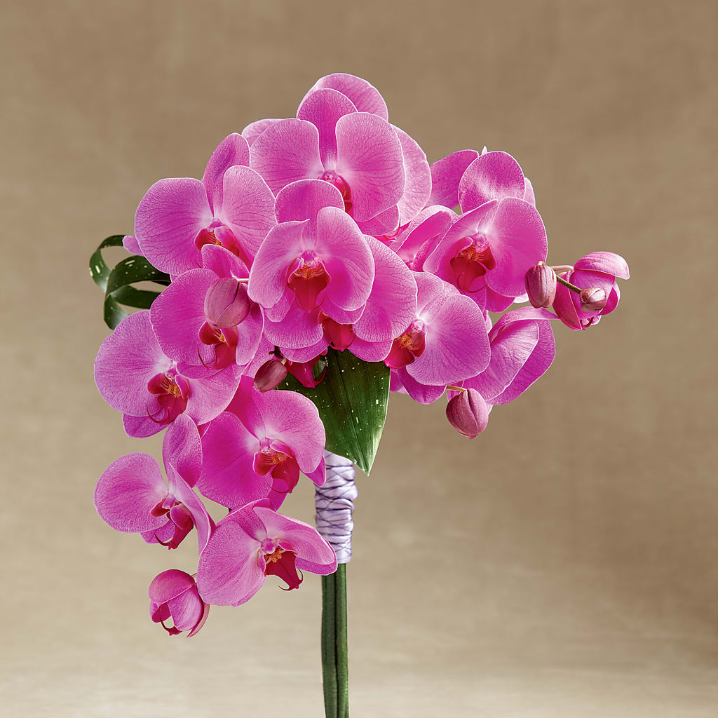 Glorious Bouquet – Blossom Shop, Conroe TX