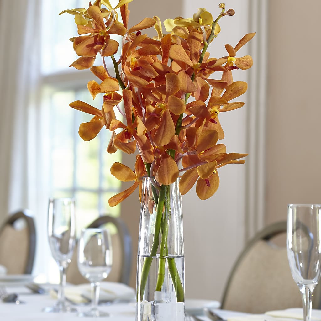 Orange Mokara Bud Vase – Blossom Shop, Conroe TX