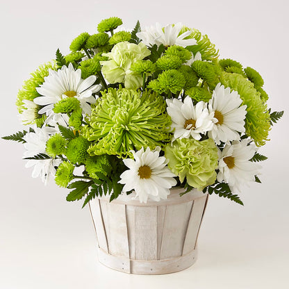 Lucky Charm Basket (Standard) –  Blossom Shop, Conroe TX