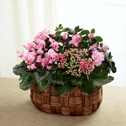 Pink Assortment –  Blossom Shop, Conroe TX