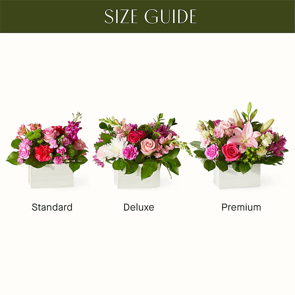 Sweetberry Box – A Florist Original –  Blossom Shop, Conroe TX