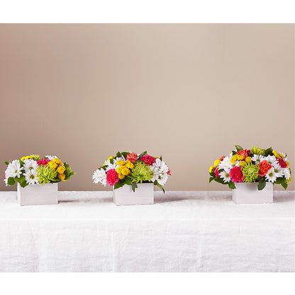 Sorbet Bouquet –  Blossom Shop, Conroe TX