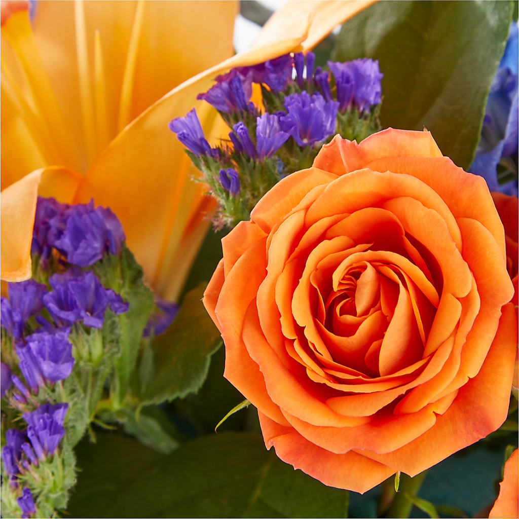 Radiant Citrus Box Bouquet –  Blossom Shop, Conroe TX