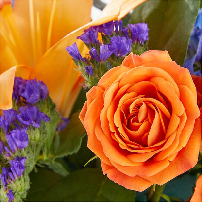 Radiant Citrus Box Bouquet –  Blossom Shop, Conroe TX