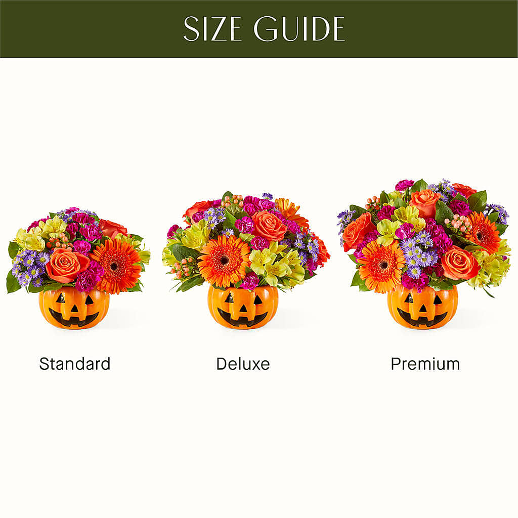 Tricks & Treats Pumpkin –  Blossom Shop, Conroe TX