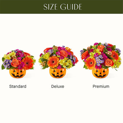 Tricks & Treats Pumpkin –  Blossom Shop, Conroe TX
