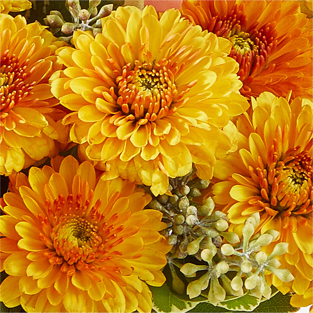 Peachy Pumpkin –  Blossom Shop, Conroe TX