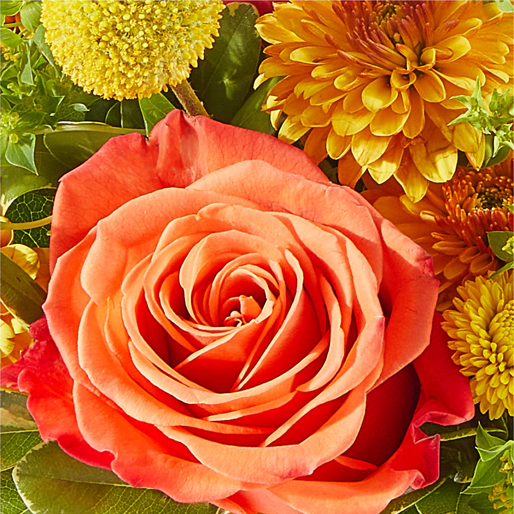 Gourdgeous Pumpkin –  Blossom Shop, Conroe TX