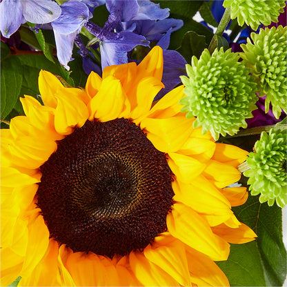 Catching Rays Bouquet –  Blossom Shop, Conroe TX