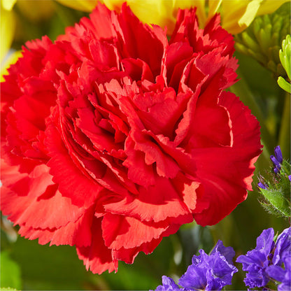Brighter Days Bouquet –  Blossom Shop, Conroe TX
