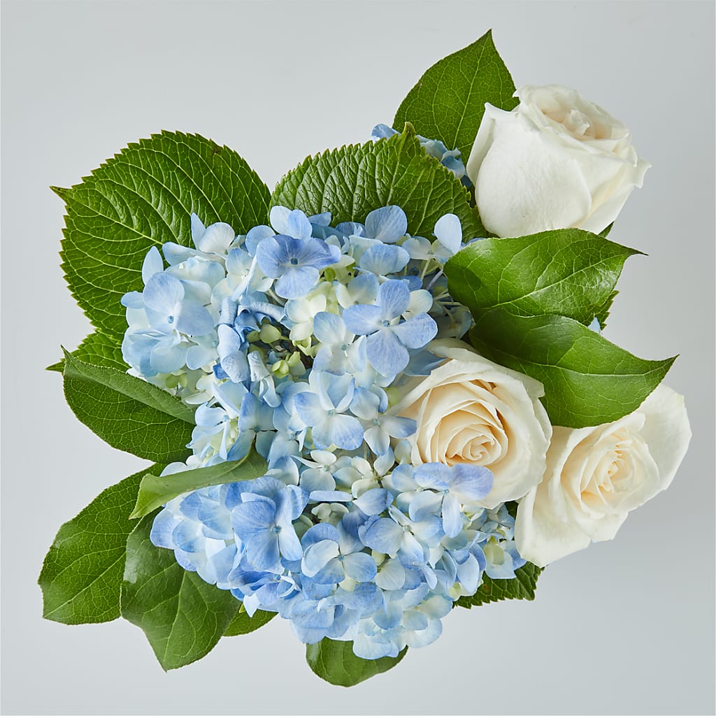 Sky Blue Delight Bouquet –  Blossom Shop, Conroe TX