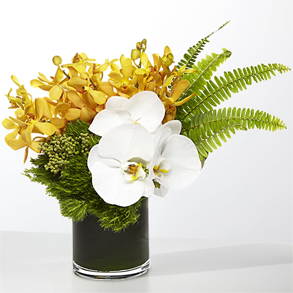 The Tropics –  Blossom Shop, Conroe TX