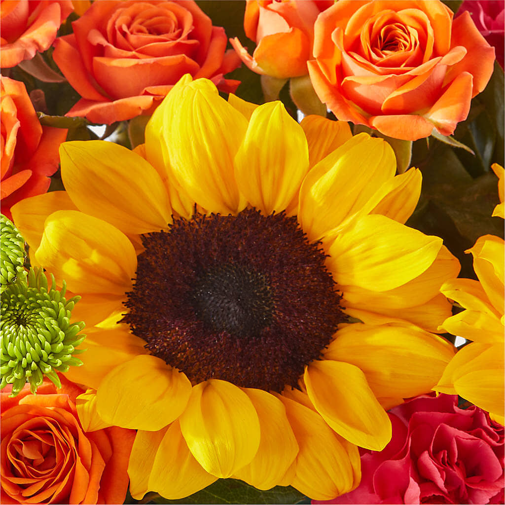 Sun-drenched Blooms Box Bouquet –  Blossom Shop, Conroe TX