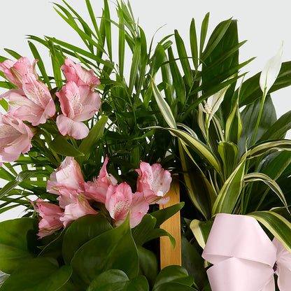 Living Spirit Dishgarden –  Blossom Shop, Conroe TX