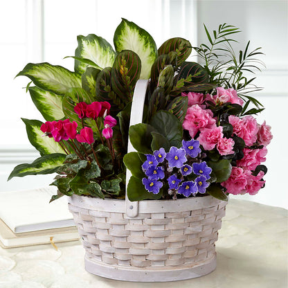 Peaceful Garden Planter –  Blossom Shop, Conroe TX
