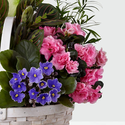Peaceful Garden Planter –  Blossom Shop, Conroe TX