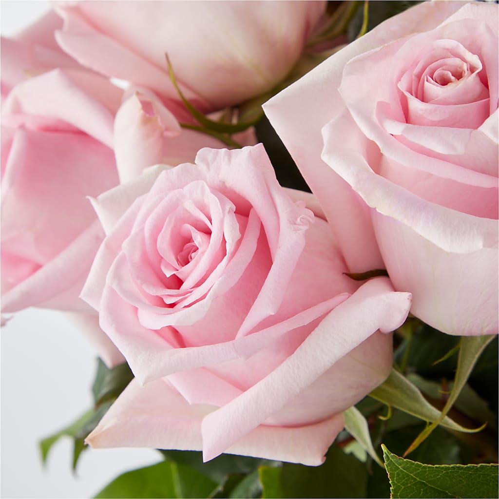 Picture Perfect Pink Rose Bouquet –  Blossom Shop, Conroe TX