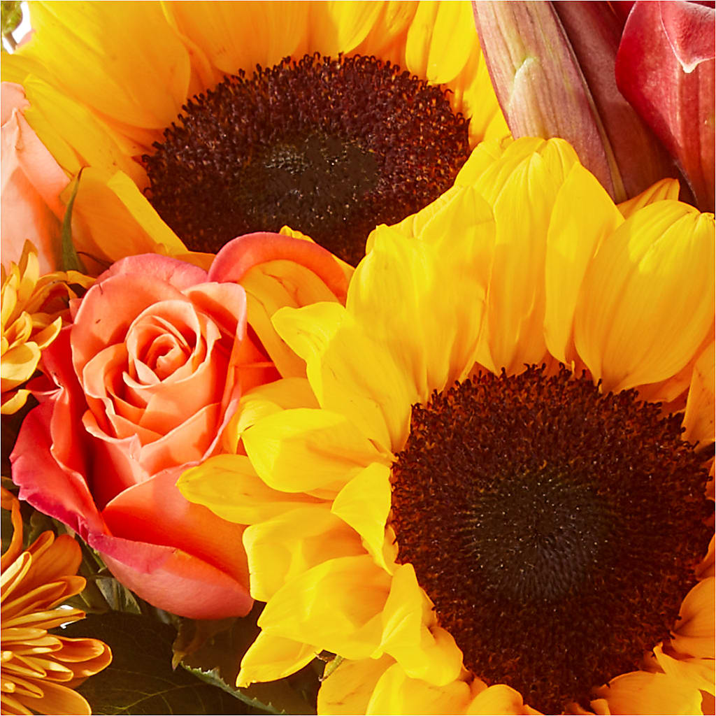 Acorn Lane Bouquet –  Blossom Shop, Conroe TX