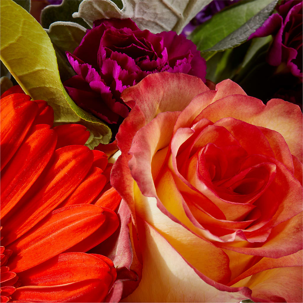 Sangria Bouquet –  Blossom Shop, Conroe TX