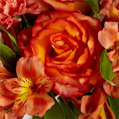 Apricot Glow Bouquet –  Blossom Shop, Conroe TX