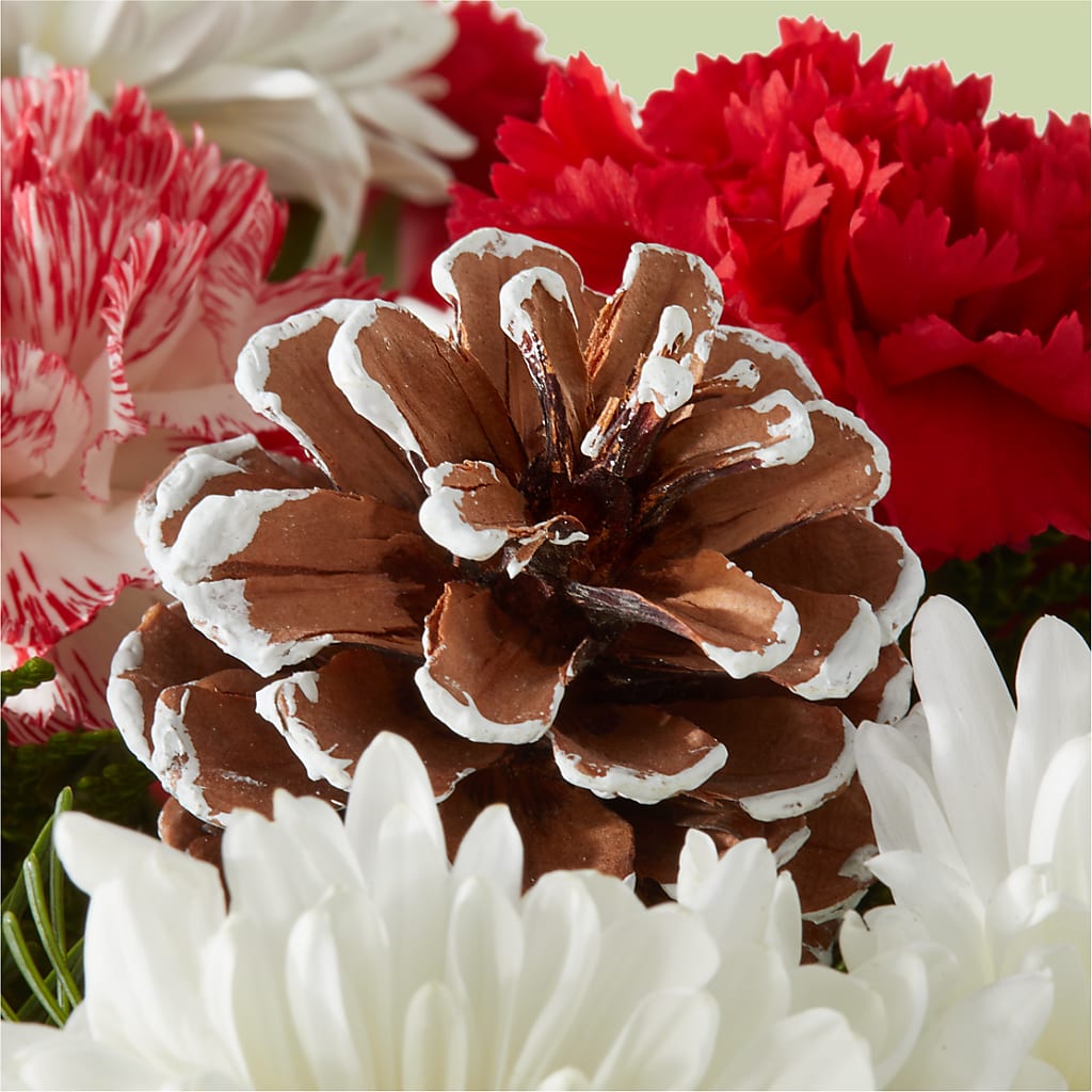 Candy Cane Lane Bouquet –  Blossom Shop, Conroe TX