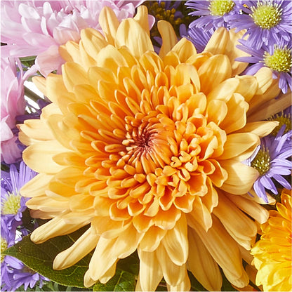 Countryside Bouquet –  Blossom Shop, Conroe TX