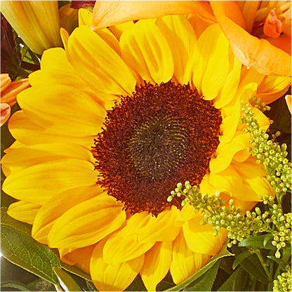 Seasons Change Bouquet –  Blossom Shop, Conroe TX