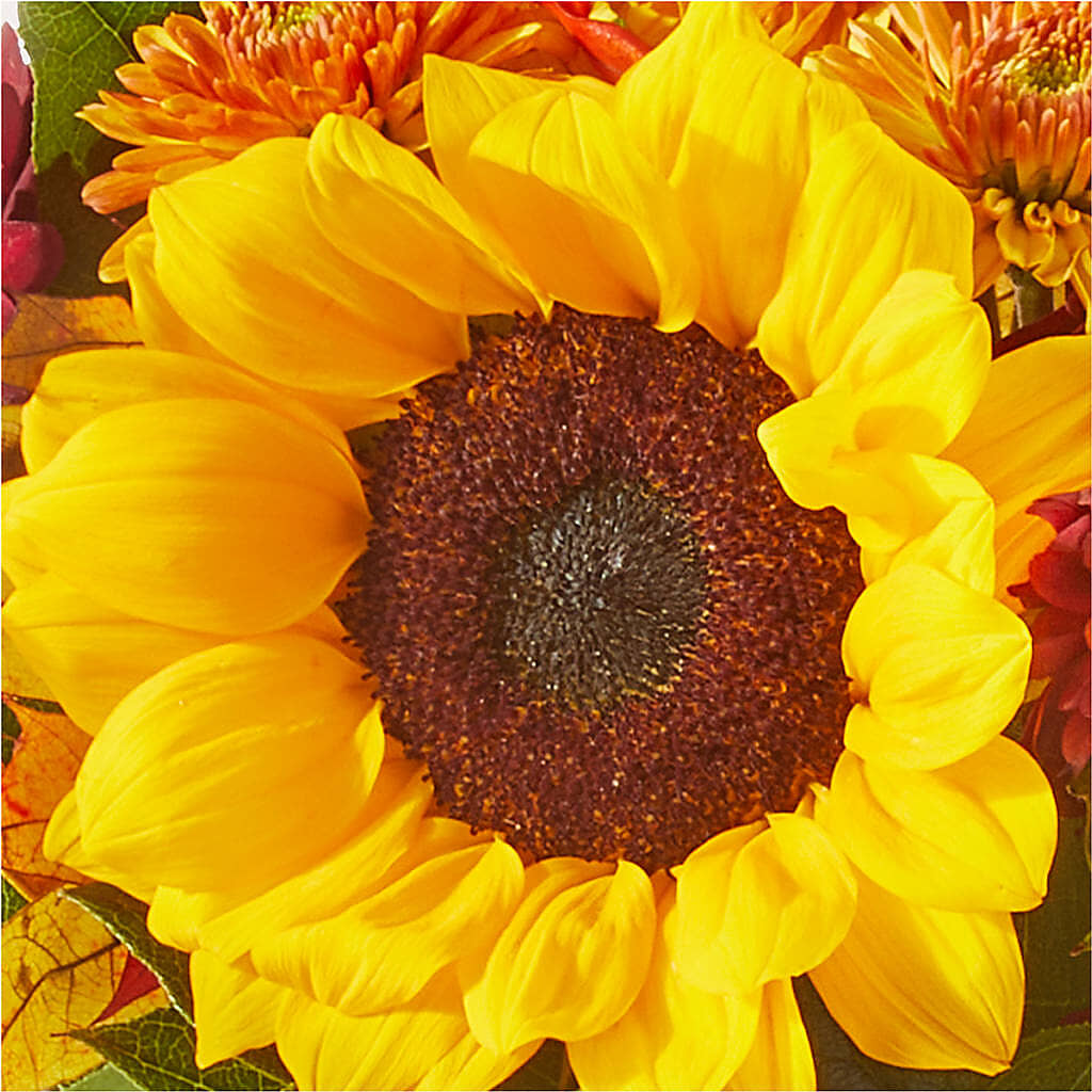 Sunny Side Bouquet –  Blossom Shop, Conroe TX