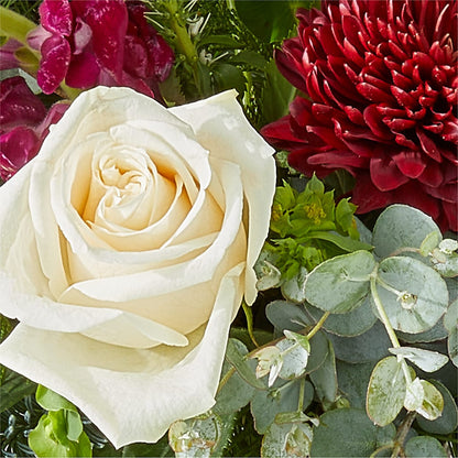 Cranberry Fizz Bouquet –  Blossom Shop, Conroe TX