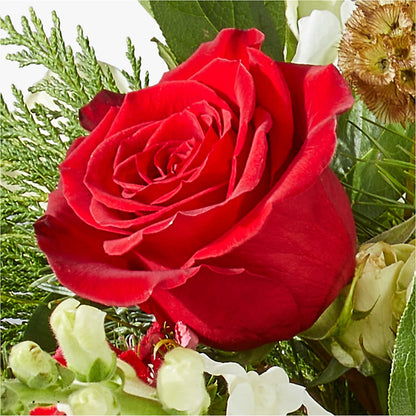 Deck the Halls Bouquet –  Blossom Shop, Conroe TX