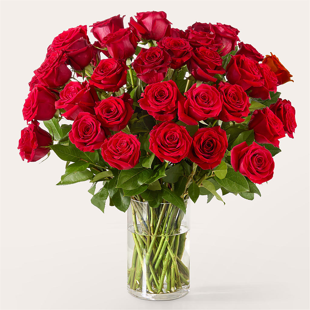 The One Red Rose Bouquet –  Blossom Shop, Conroe TX