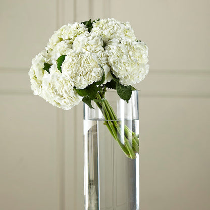 White Hydrangea Hand-Tied Bouquet –  Blossom Shop, Conroe TX