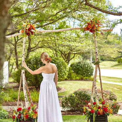 Arbor of Love Archway –  Blossom Shop, Conroe TX