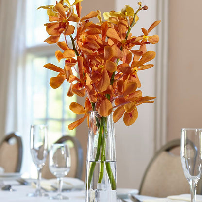 Orange Mokara Bud Vase –  Blossom Shop, Conroe TX